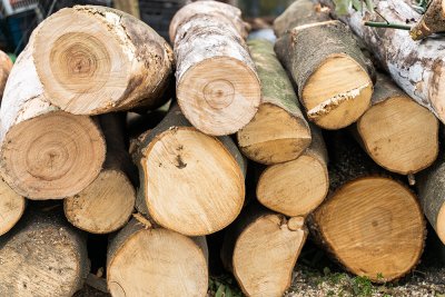 木质包装材料的优点